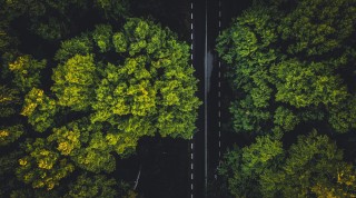 Carbon Accounting for Businesses: A Step-by-Step Guide